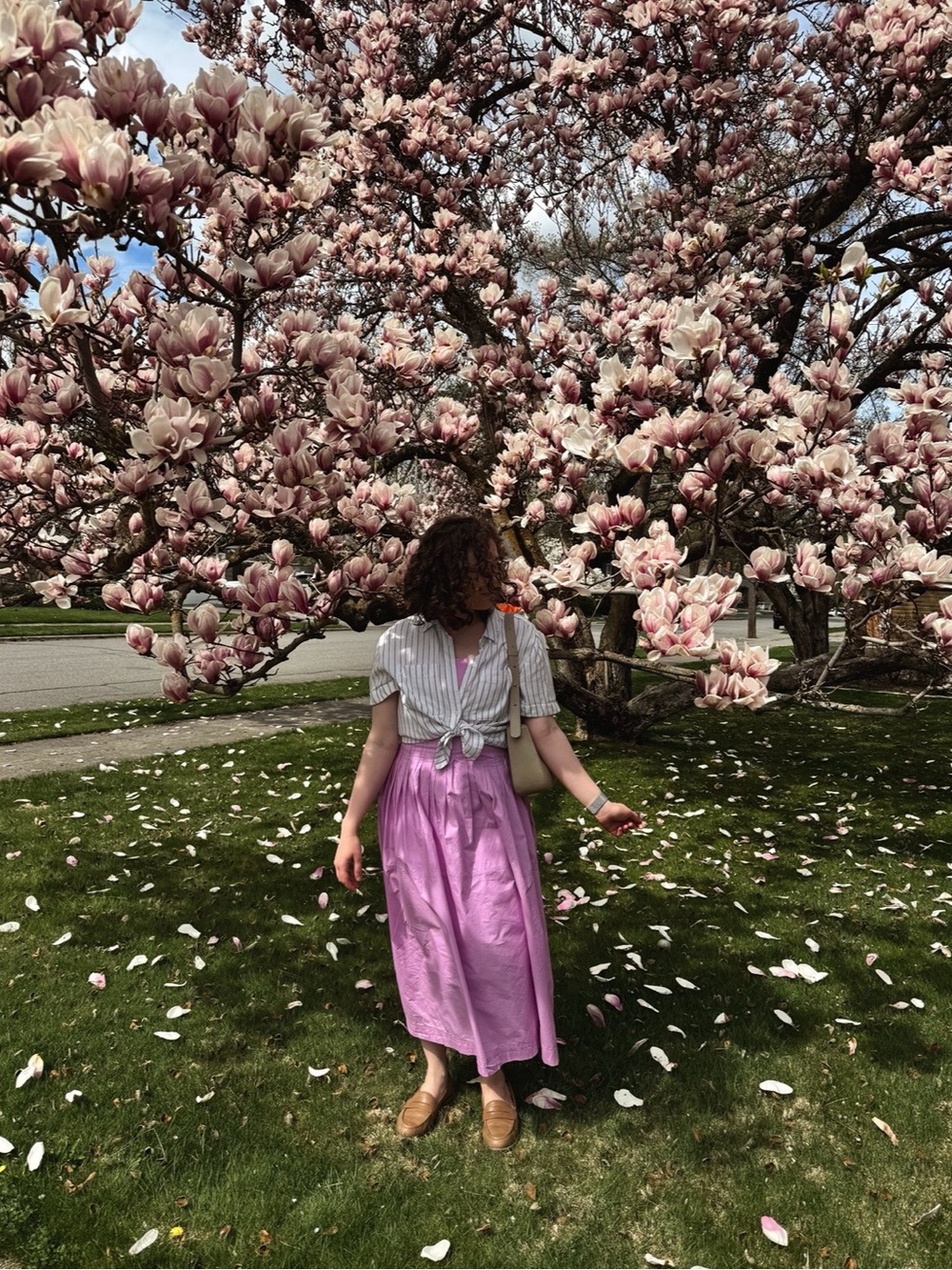 Banana Republic Lavender-Pink Midi Skirt